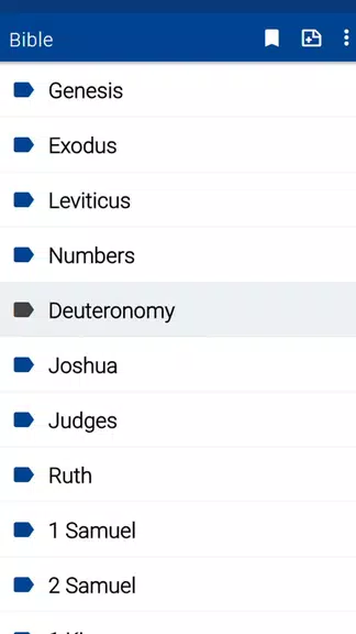 Spurgeon Bible Commentary 螢幕截圖 1