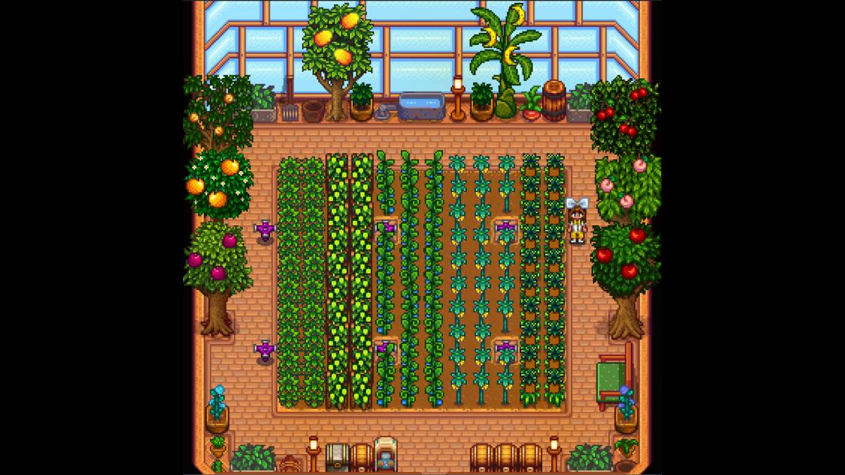 Quante piante può contenere la serra nella Stardew Valley?