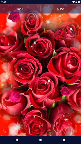 Red Rose Live Wallpaper Ảnh chụp màn hình 1