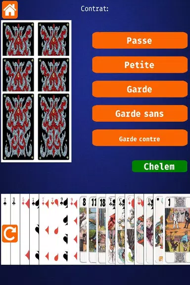 Net.Tarot Скриншот 1
