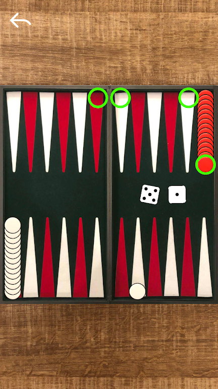 Narde Backgammon স্ক্রিনশট 1