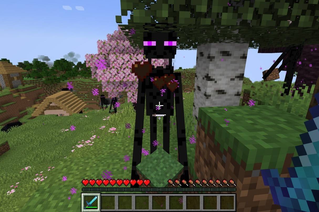 Enderman