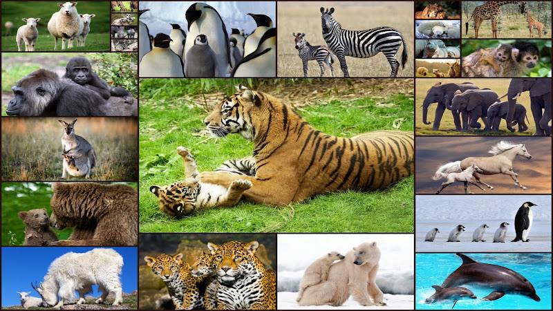 Jeu de Bébés Animaux Puzzle Capture d'écran 0