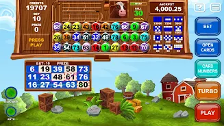 Video Bingo Little Farm应用截图第3张