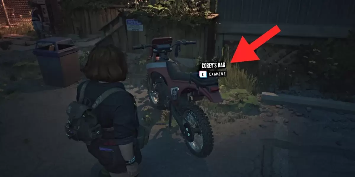 Corey's bike bag in Lost Records Bloom and Rage