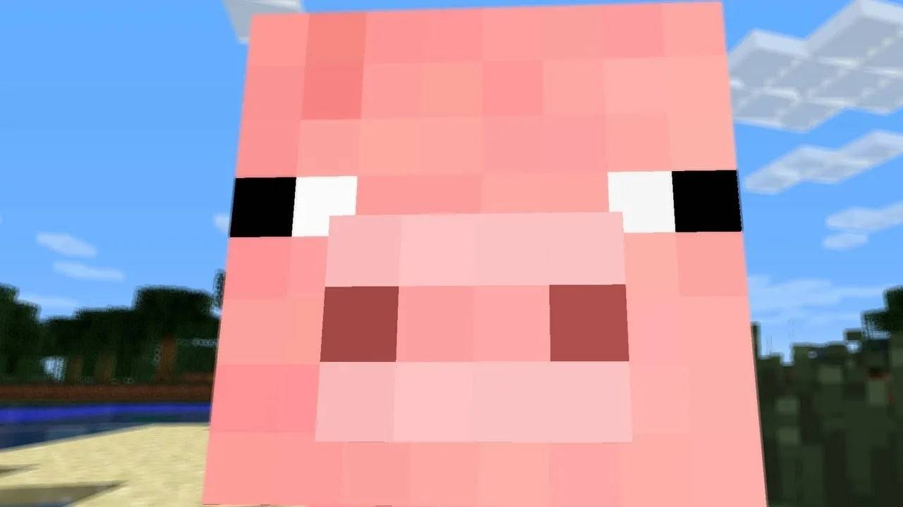 Où trouver des porcs minecraft