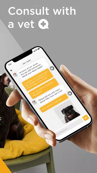 Petcube स्क्रीनशॉट 3