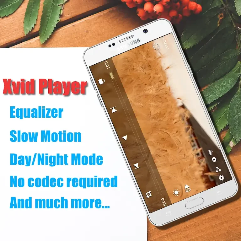 Xvid Video Codec Player Schermafbeelding 0