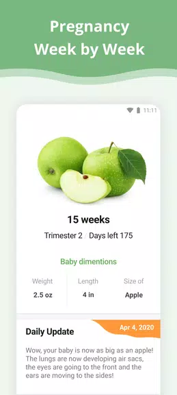 Pregnancy App 螢幕截圖 0