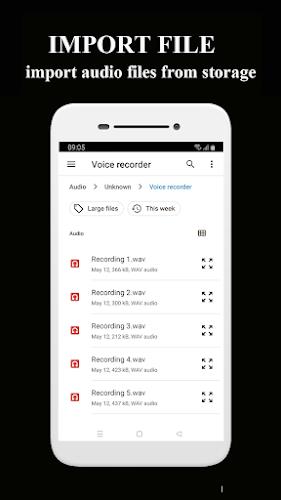 Schermata Voice Memos 1