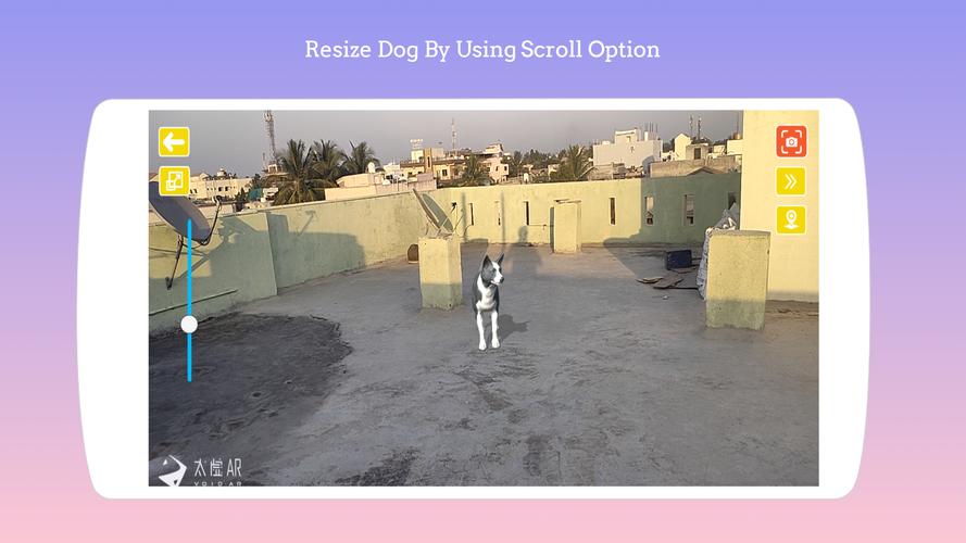 Dog play Ar Скриншот 2