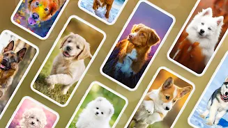 Dog Wallpapers & Puppy 4K Ảnh chụp màn hình 0