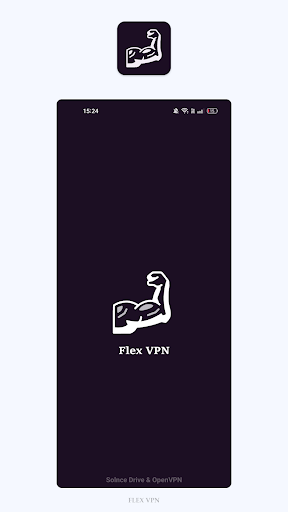 Flex VPN Screenshot 0