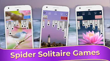 Schermata Spider Solitaire Classic Games 1