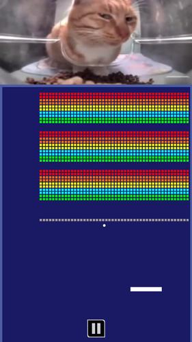 Chipi Chapa: Brick Breaker Capture d'écran 2