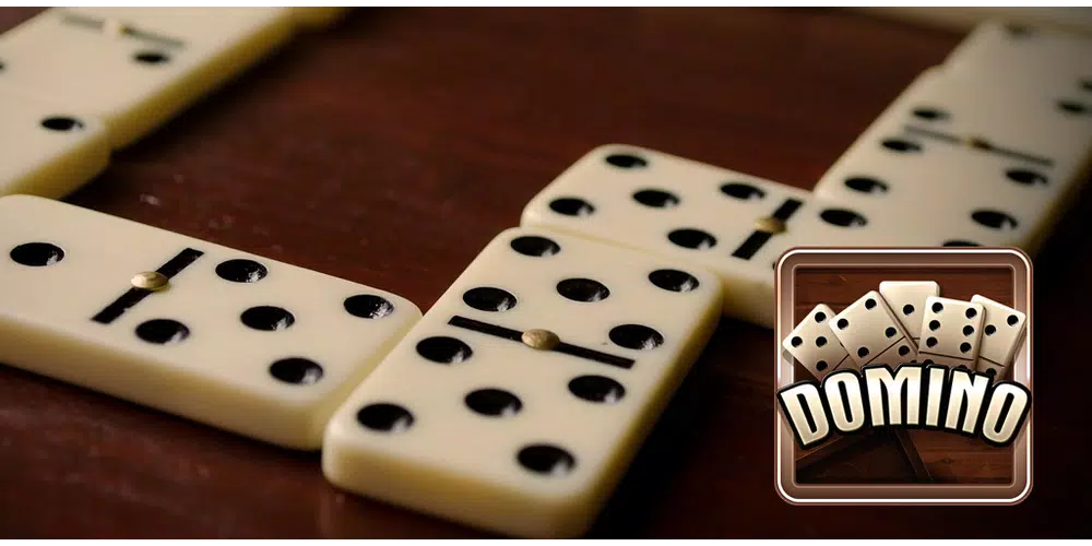 Domino Ekran Görüntüsü 2