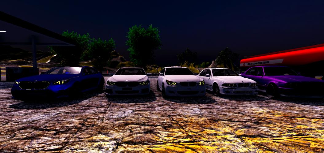 Driving Simulator BMW 螢幕截圖 0