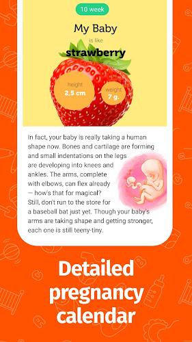 Schermata Pregnancy App and Baby Tracker 2