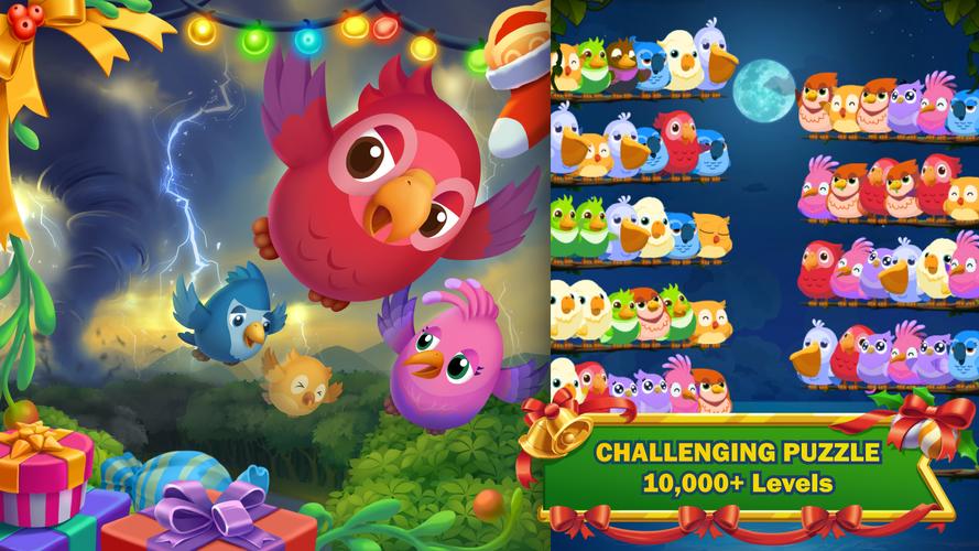 Bird Story Скриншот 3