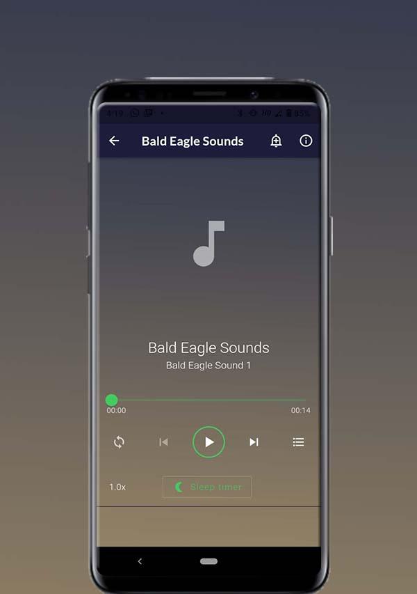 Bald Eagle Sounds应用截图第1张