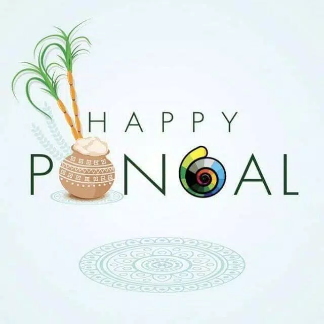 Happy Pongal Wishes Tangkapan skrin 0