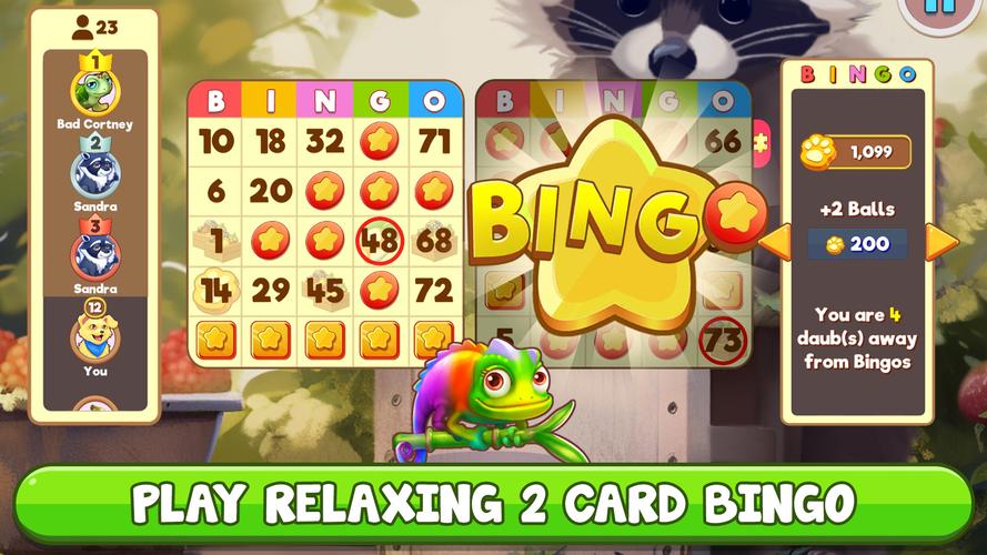 Bingo:  Free the Pets 螢幕截圖 1