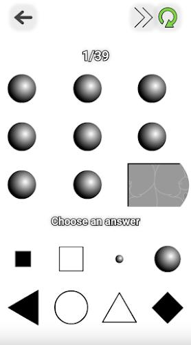 Schermata Intelligence Test 0