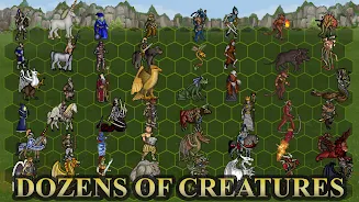 Heroes 3 of Might: Magic TD Screenshot 1