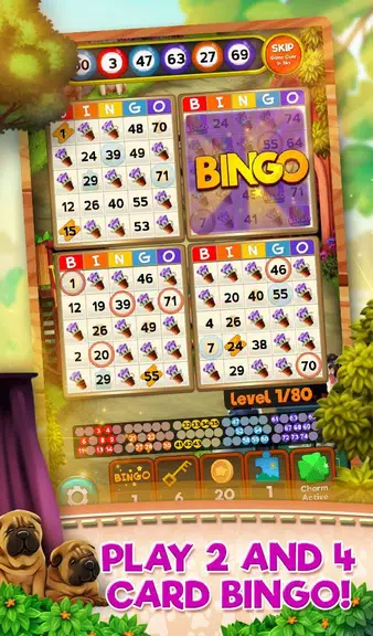 Bingo Pets Party: Dog Days Schermafbeelding 0