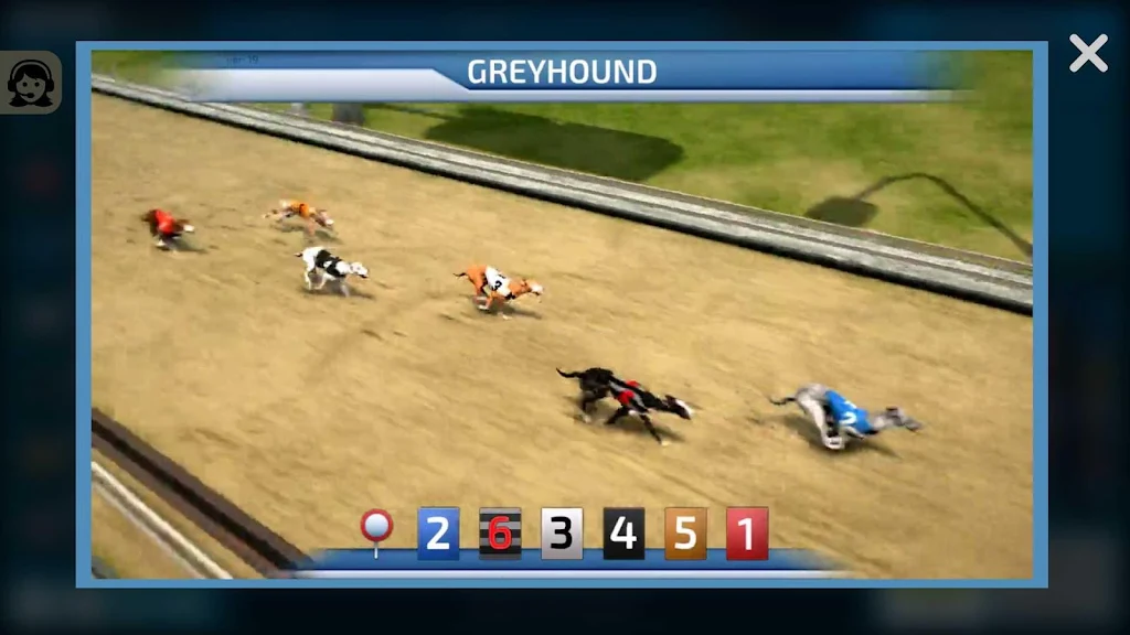 Dogs3D Races Betting 螢幕截圖 1