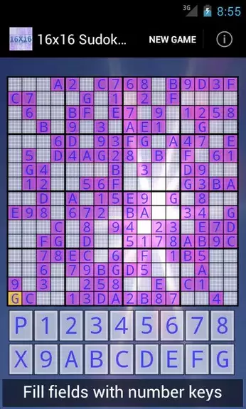 16x16 Sudoku Challenge HD Schermafbeelding 0