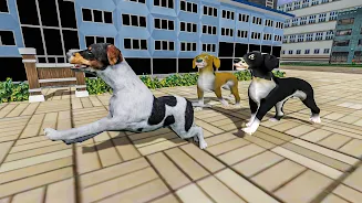 Help The Dogs Screenshot 2