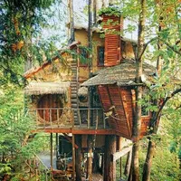 Treehouse