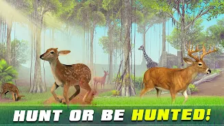 Safari Animal Hunter Simulator 螢幕截圖 3