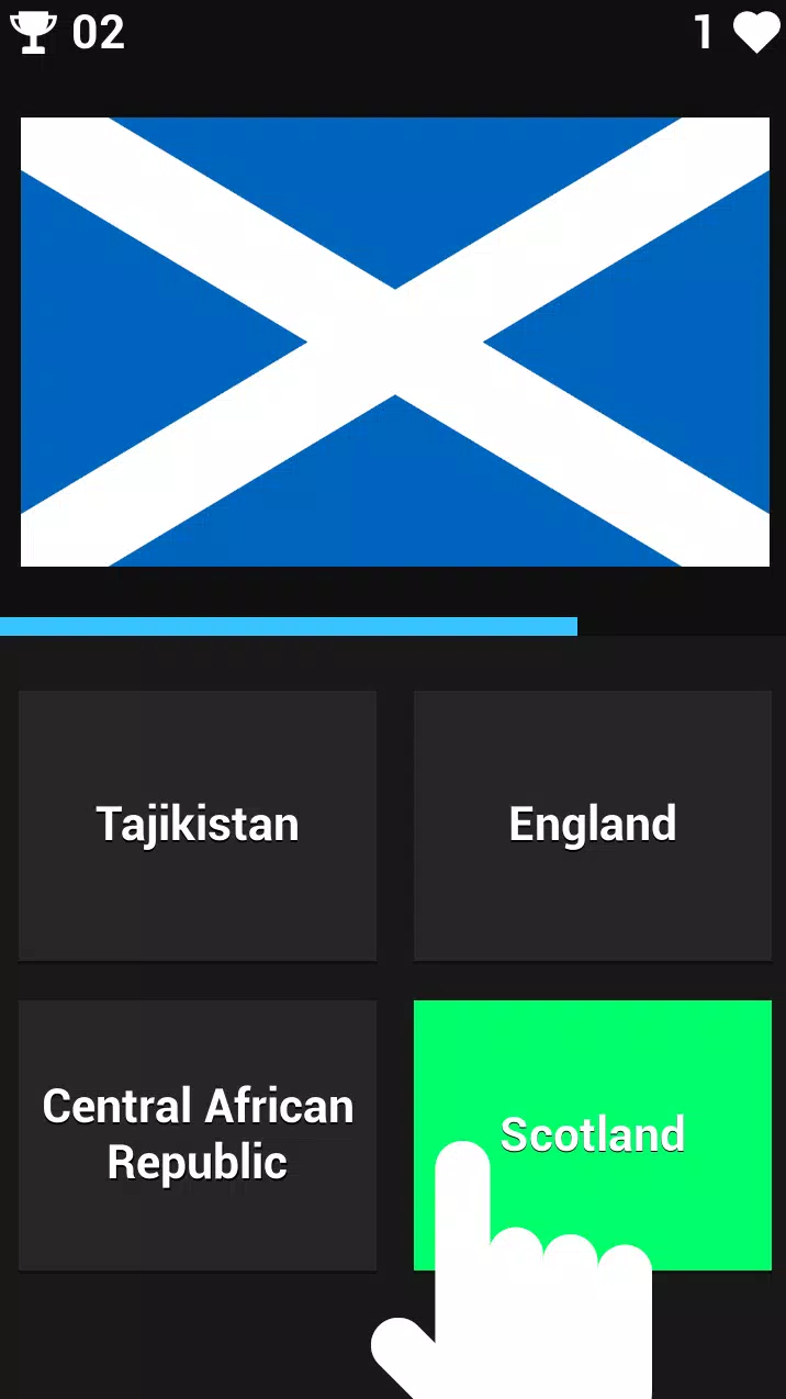 FLAG GUESSER Screenshot 0