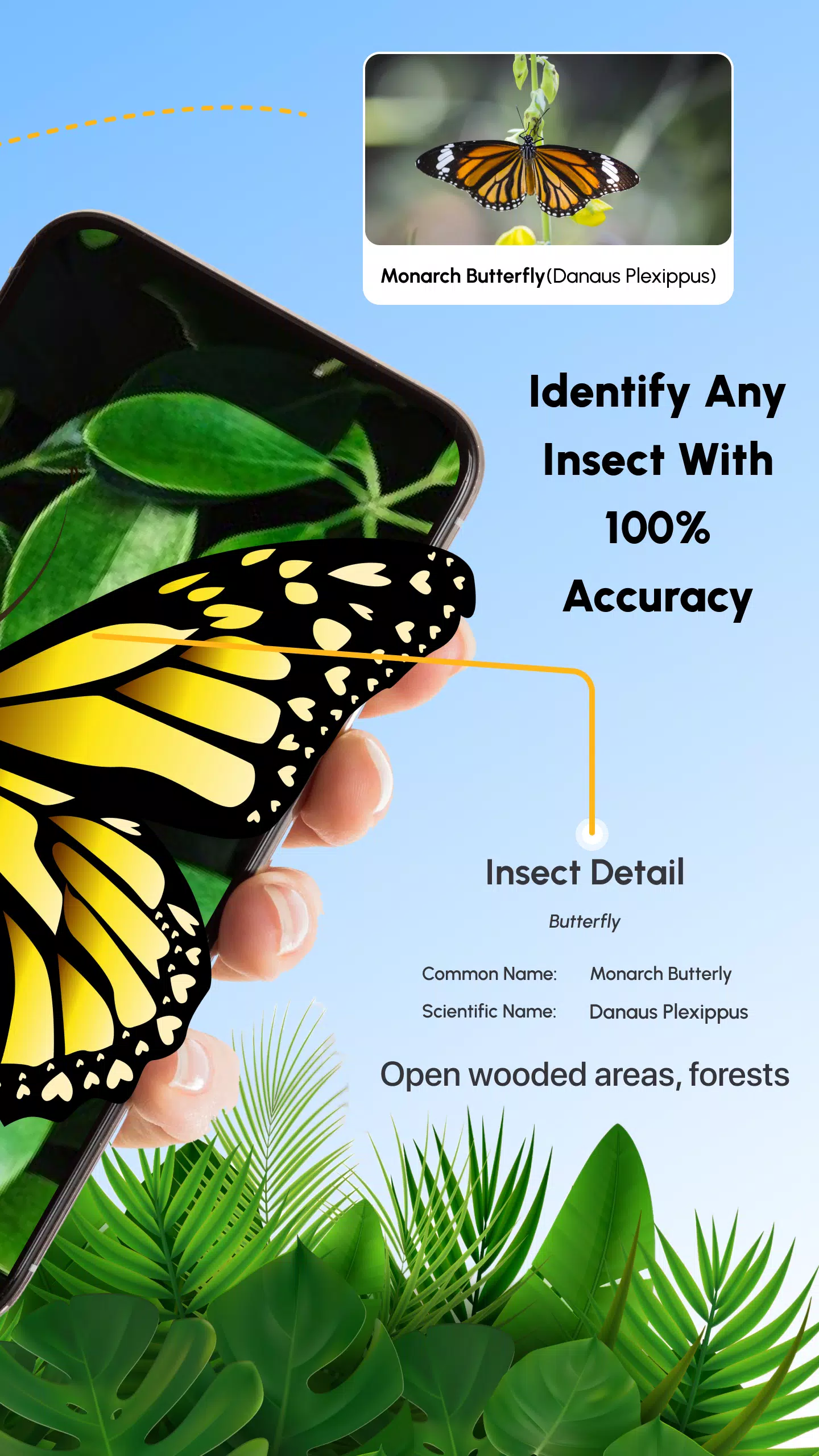 Insect Identifier Bug Identify 螢幕截圖 1