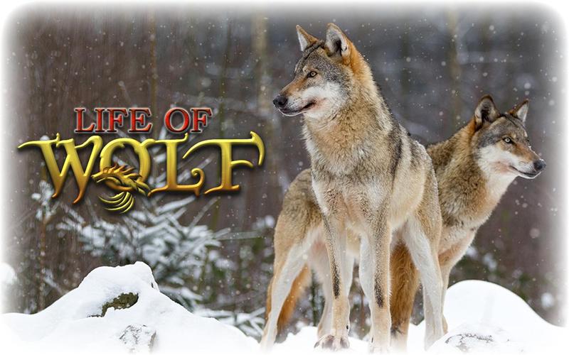 Wolf Life Simulator 螢幕截圖 0