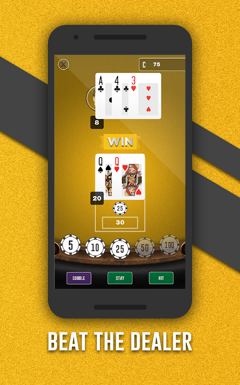 Fortune Joe Casino Screenshot 3