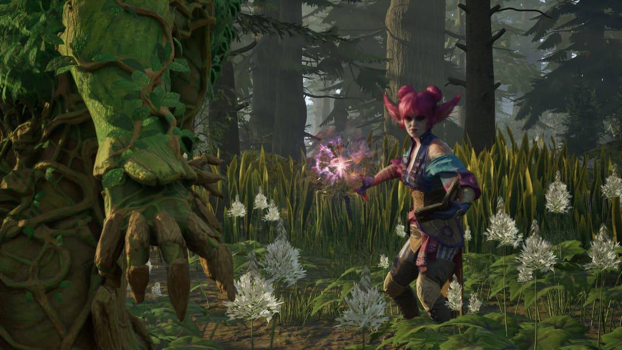Avowed multiplayer: het antwoord onthuld