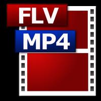 FLV HD MP4 Video Player