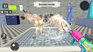 Animal Shelter: Pet Rescue 3D 螢幕截圖 0