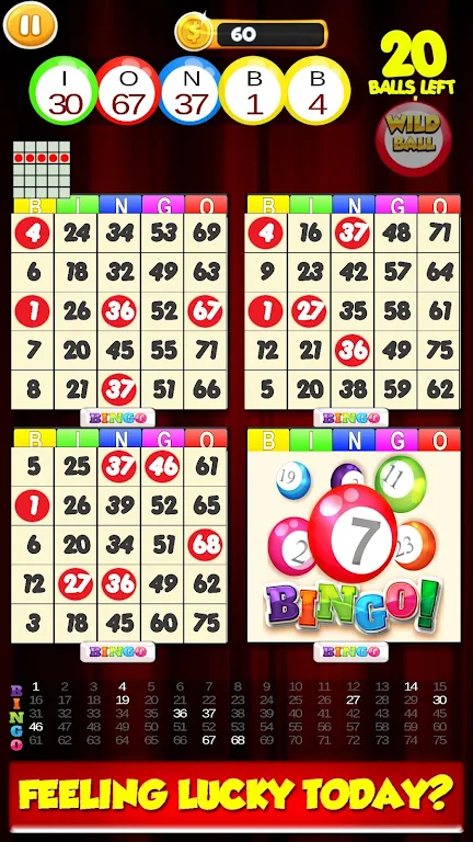New Bingo Cards Game Free Captura de tela 0