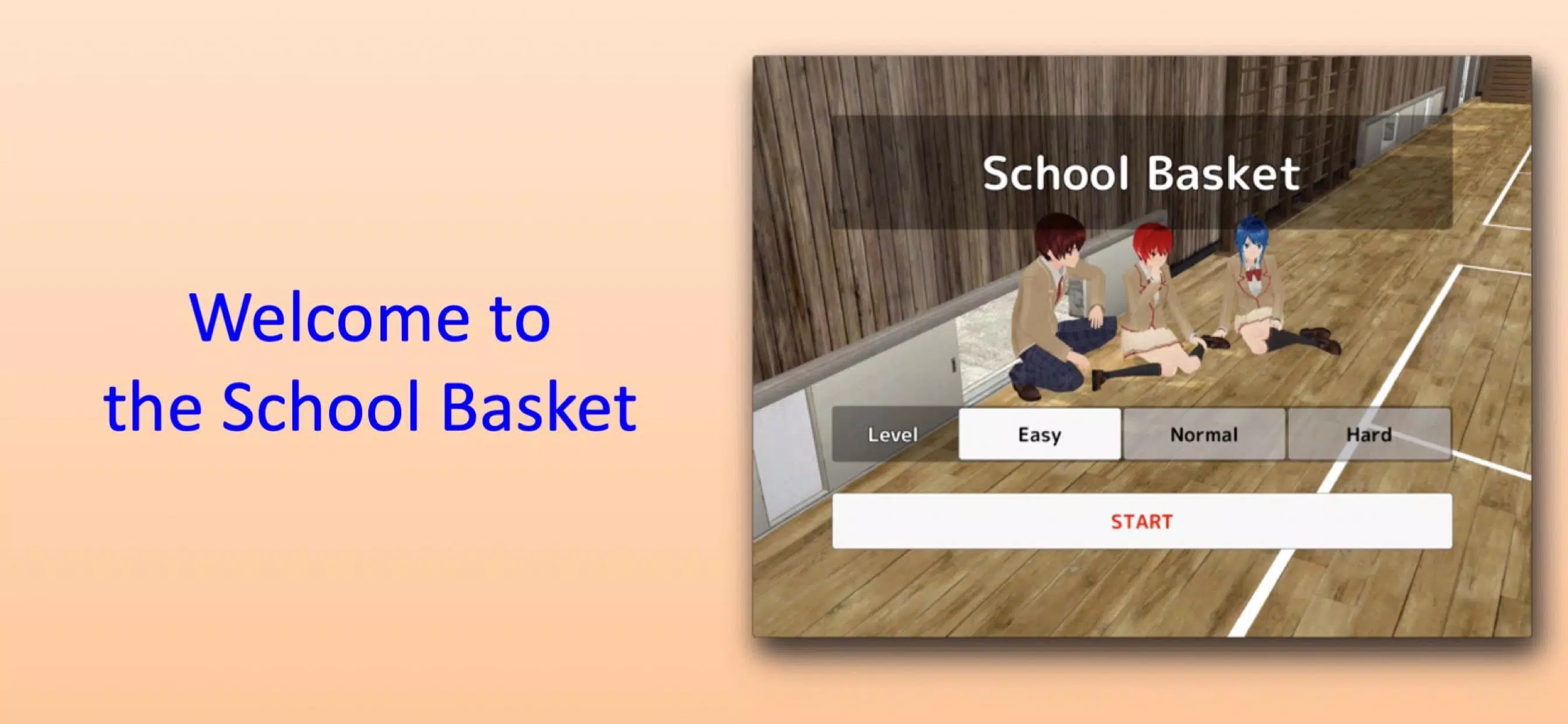 School Basket Zrzut ekranu 0