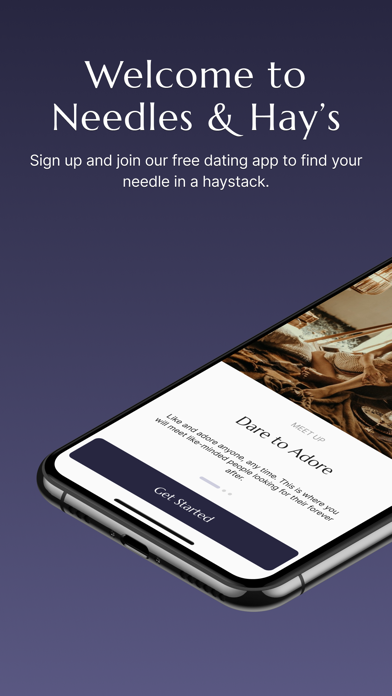Needles and Hays Dating App应用截图第0张