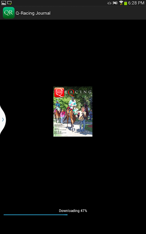 Q-Racing Journal 螢幕截圖 1