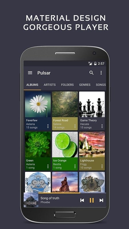 Pulsar Music Player Pro Schermafbeelding 0