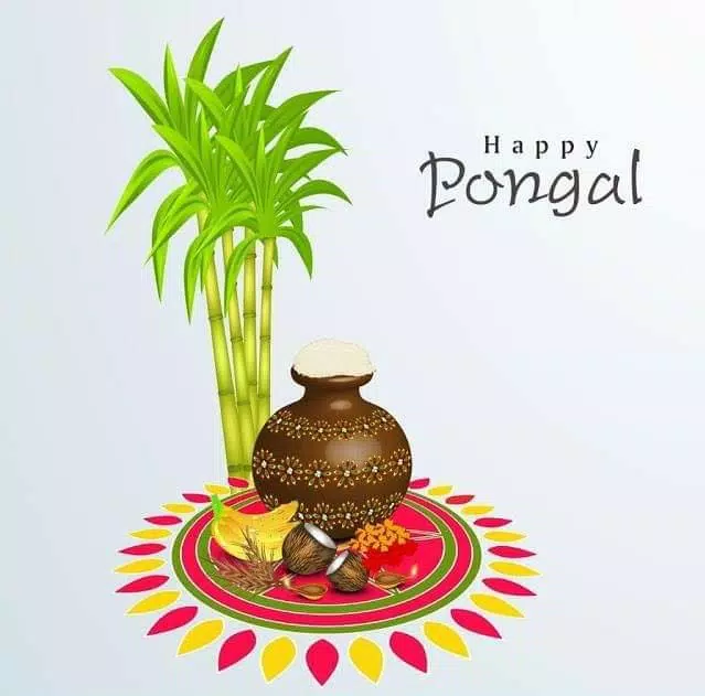 Happy Pongal Wishes Tangkapan skrin 1
