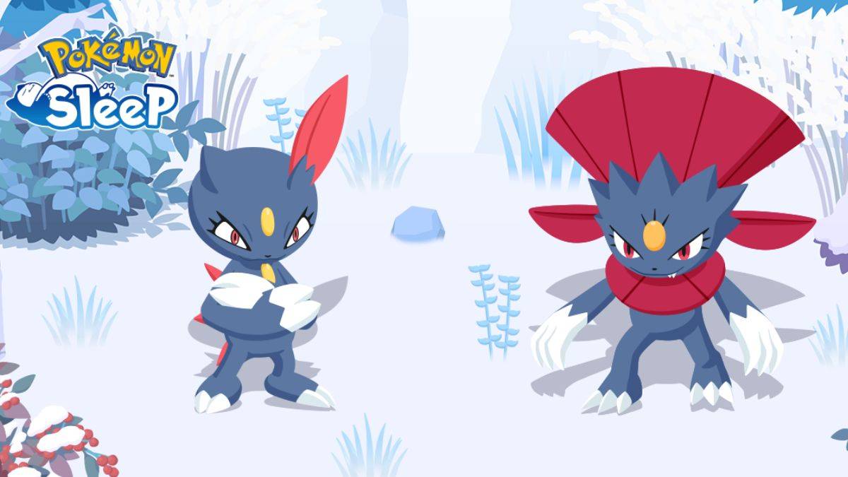 Tangkap sneasel dan weavile dalam tidur pokemon