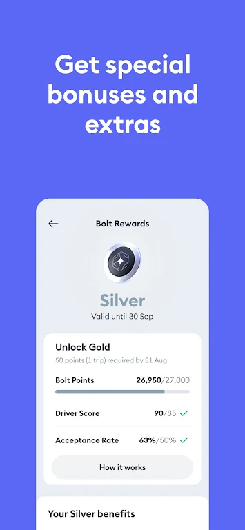 Bolt Driver: Drive & Earn Zrzut ekranu 1