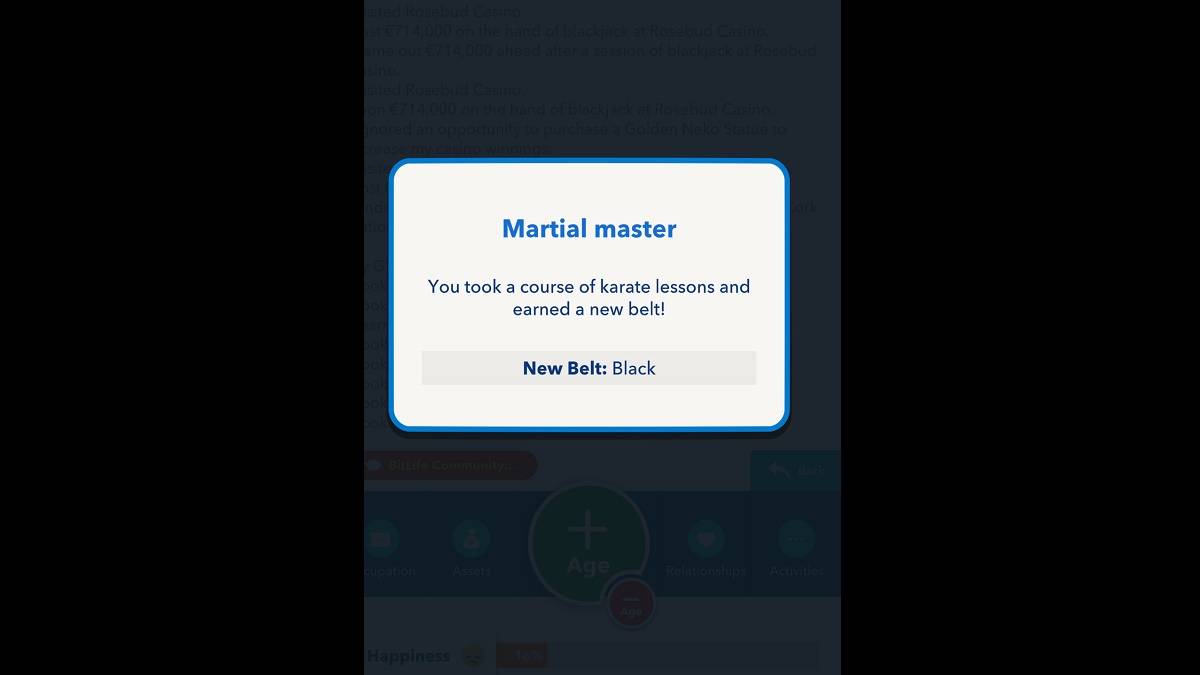 BitLife Black Belt Achievement